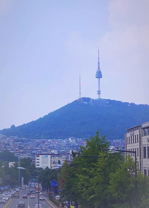 Korvia
