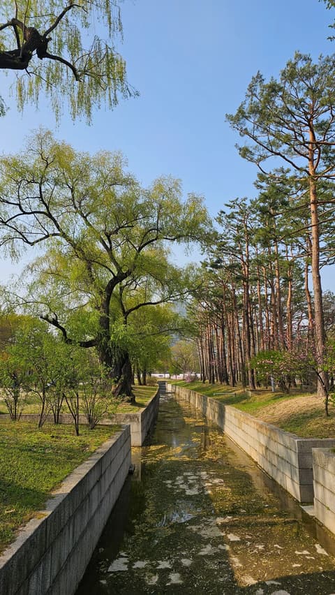 Korvia 2024