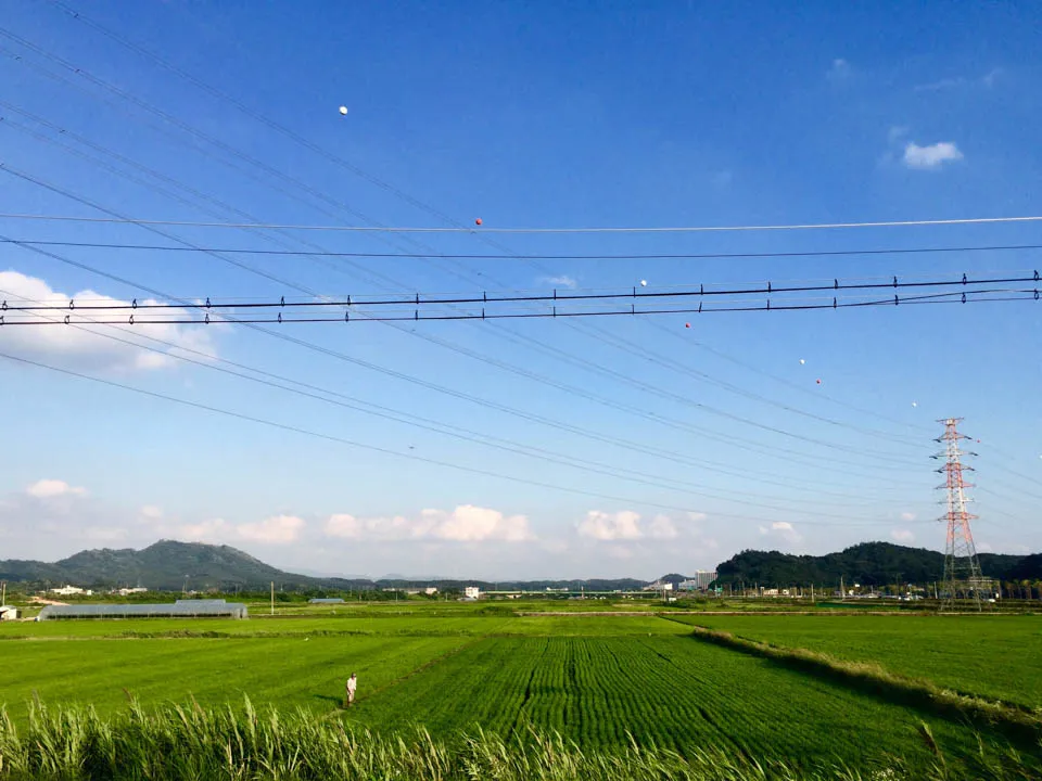 image-photo-got-smartphone-fields-paju