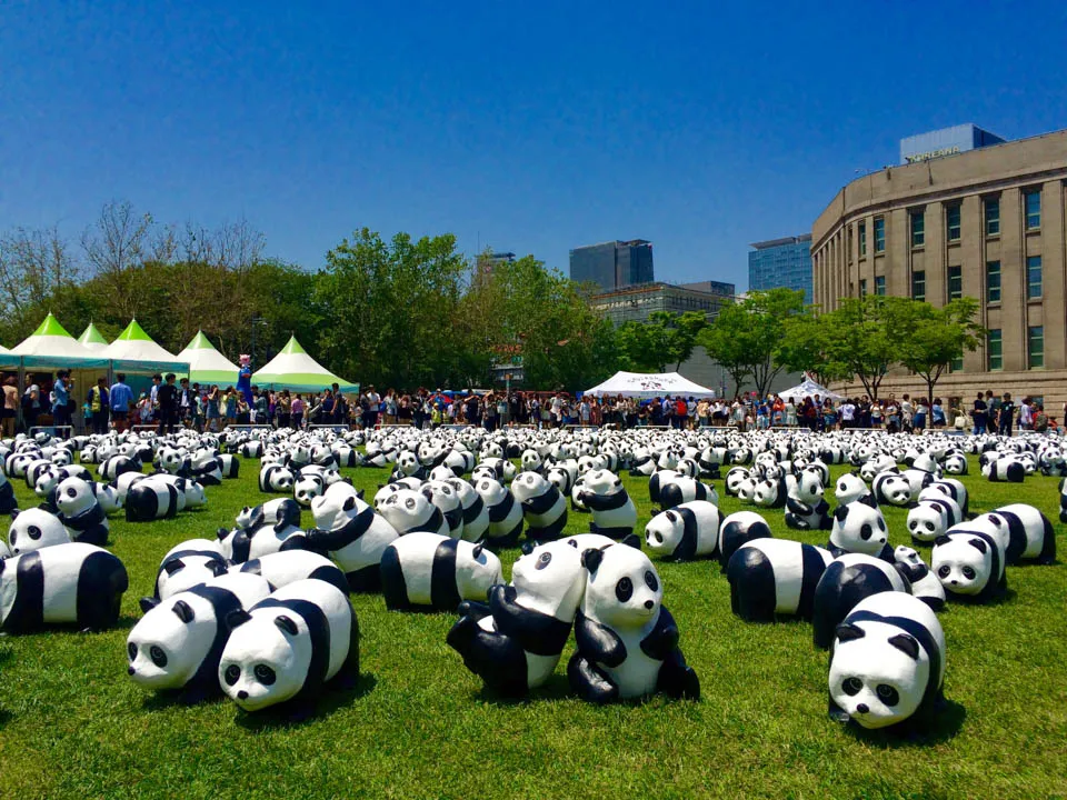 image-photo-got-smartphone-seoul-plaza-pandas