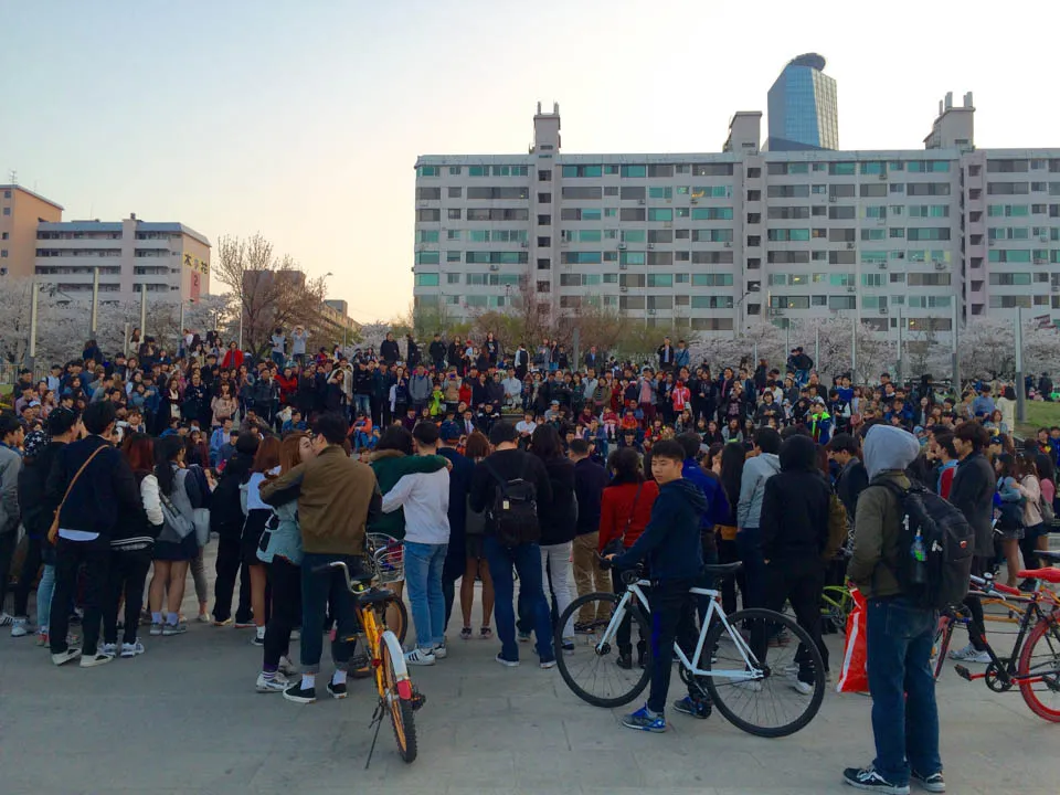 image-photo-got-smartphone-yeouido-park