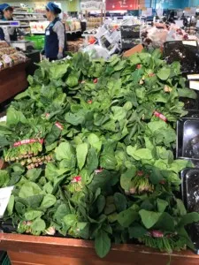 2AEK0NhDTmyy3nSo1n3KQ 225x300