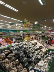 UXrlc8SQQH2jzaA6toMFDA E1512718299368 225x300